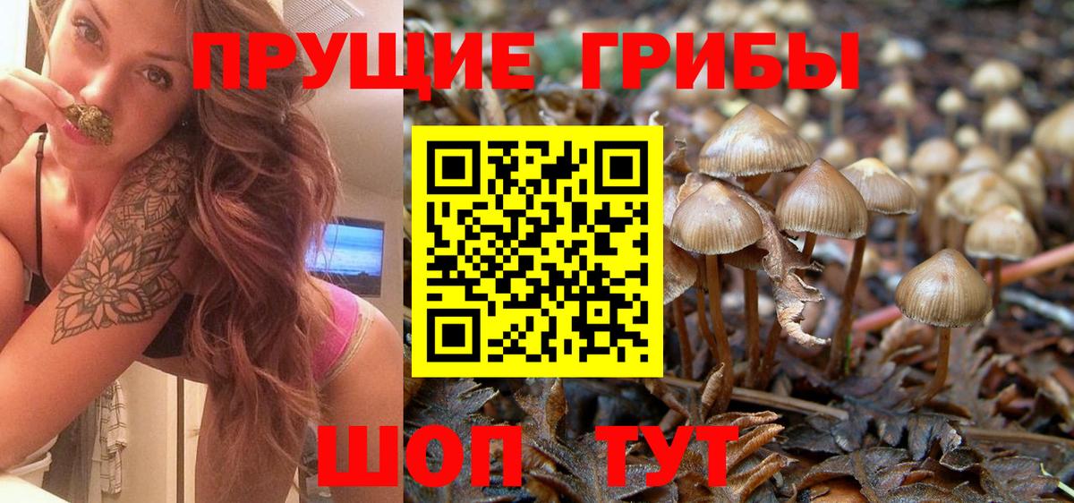 Галлюциногенные грибы прущие грибы Камышин