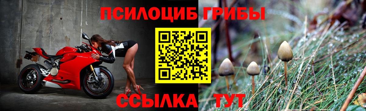 Галлюциногенные грибы ЛСД  Галлюциногенные грибы Psilocybe  Камышин  Вход с VPN 